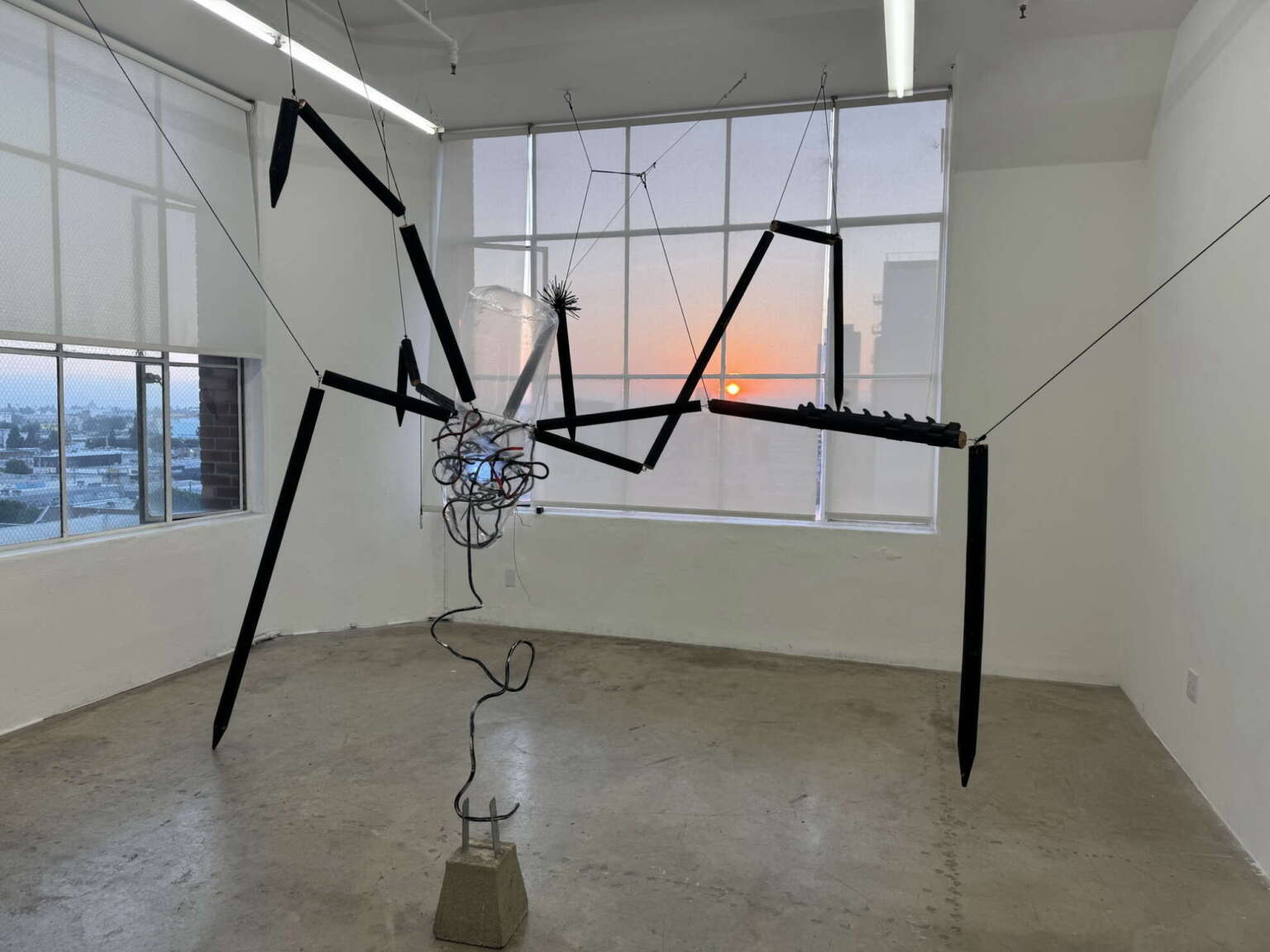 Sympoiesis, 2025